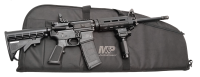 Smith & Wesson M&P 15 S&W Rifle with Light -- Layaway Option